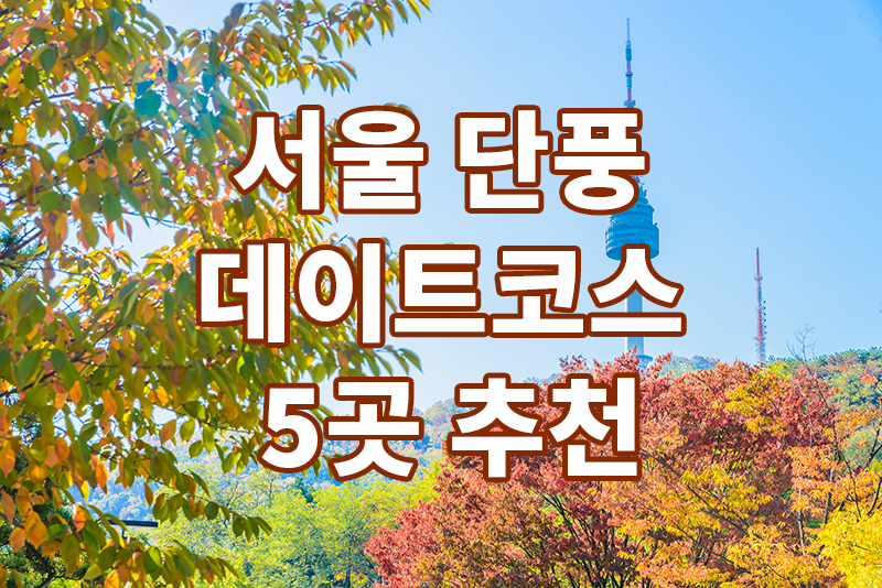 서울 단풍